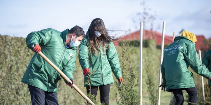 Aqrar İnkişaf Könüllüləri Abşeronda Şəhidlərin Xatirəsinə Həsr Olunmuş Ağacəkmə Aksiyası Keçiriblər