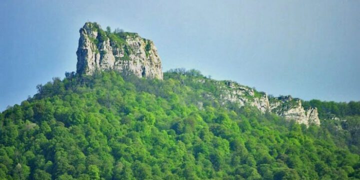 İşğal dövründə Xocavənddə 3500 hektardan artıq meşə sahəsi və 12 təbiət abidəsi məhv edilib