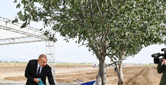 Prezident İlham Əliyev Ağdam şəhər meşə-parkında ağac əkib