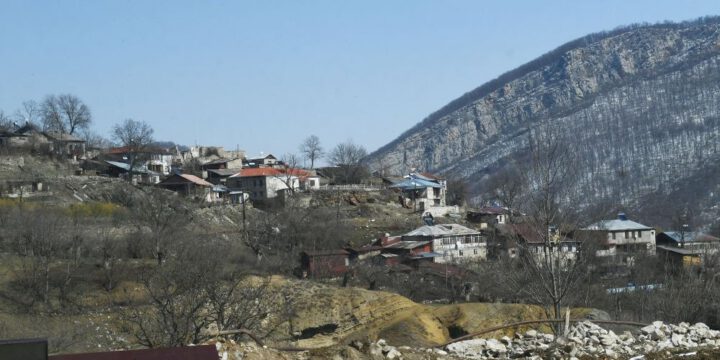 Şuşada “Qırmızı Kitab”a düşəcək bir neçə bitki növü var