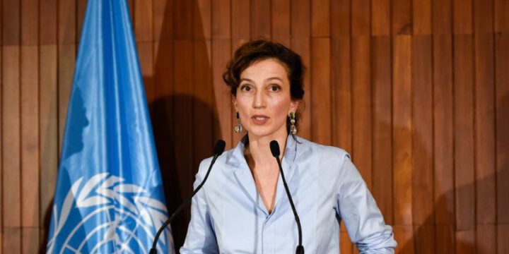 Azərbaycanlı jurnalistlərin faciəvi ölümü məni sarsıdıb – UNESCO-nun baş direktoru