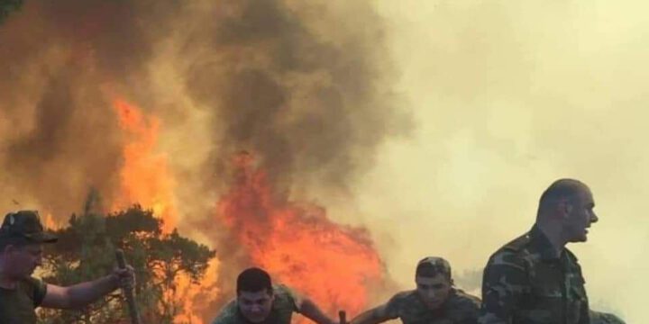 Türkiyədə olan FHN-in yanğınsöndürmə qüvvələri yanğınlarla mübarizəni davam etdirirlər