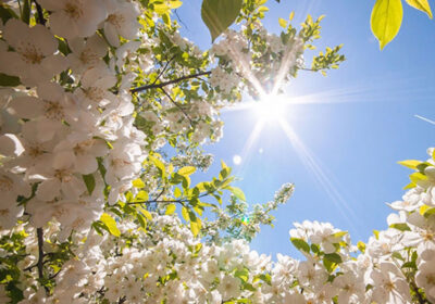 Sabah 20 dərəcə isti olacaq