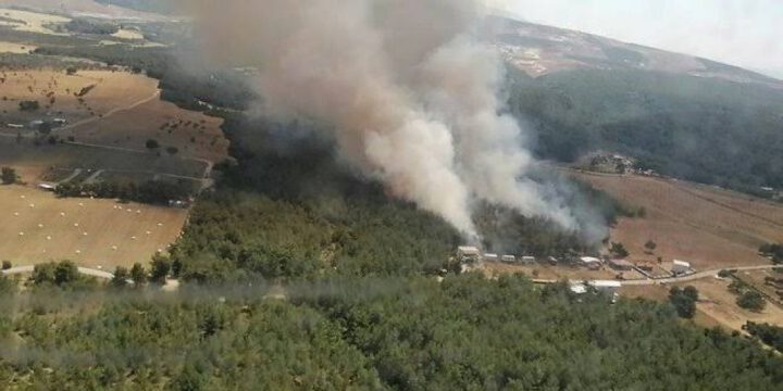 Türkiyənin İzmir vilayətində yerləşən meşəlik ərazilərdə yanğın baş verib