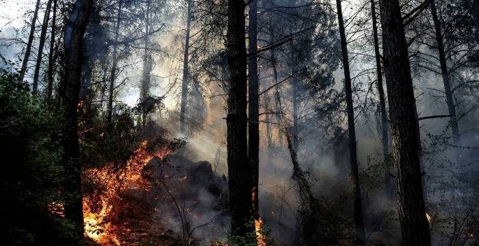 Antalyada meşə yanğınları nəzarət altına alınıb