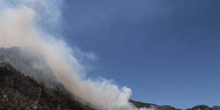 Yanğınla bağlı Azərbaycandan Türkiyəyə nümayəndə heyəti gedib