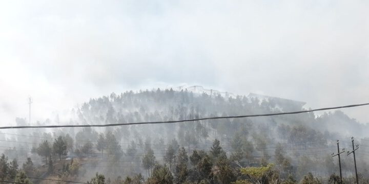 Badamdardakı yanğın söndürülüb