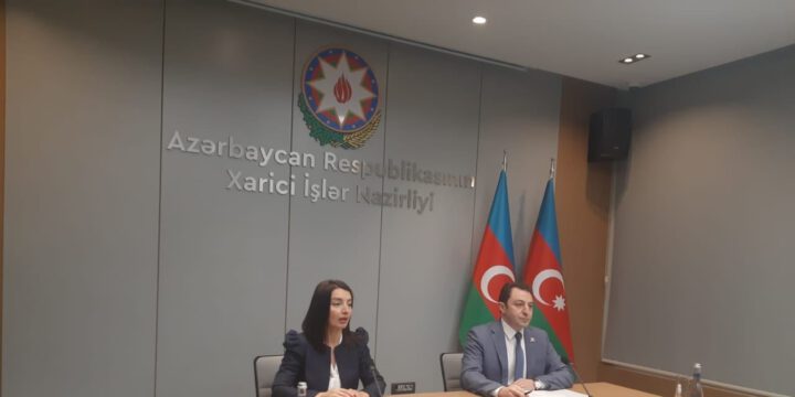 Xarici işlər nazirinin müavini Elnur Məmmədov brifinq keçirir – canlı