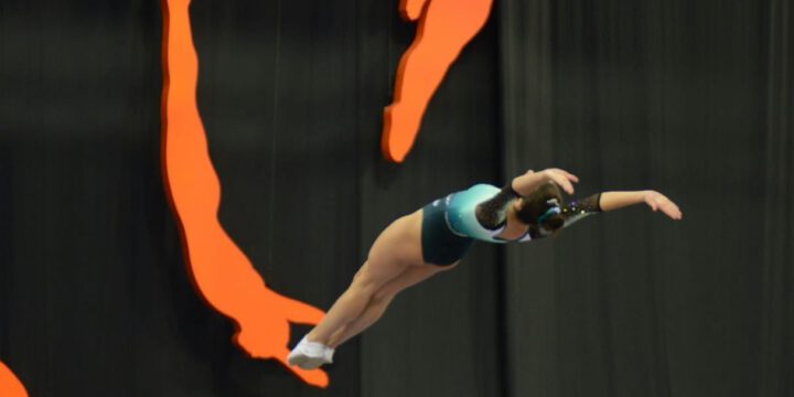 Milli Gimnastika Arenasında batut gimnastikası üzrə 6-cı, tamblinq üzrə 18-ci Azərbaycan Birinciliyi və Bakı Çempionatı start götürüb