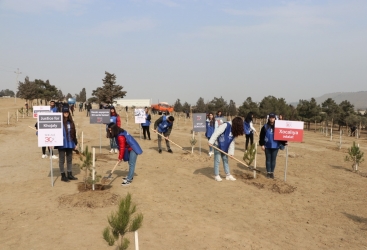 Xocalı soyqırımı qurbanlarının xatirəsinə həsr olunmuş ağacəkmə aksiyası keçirilib