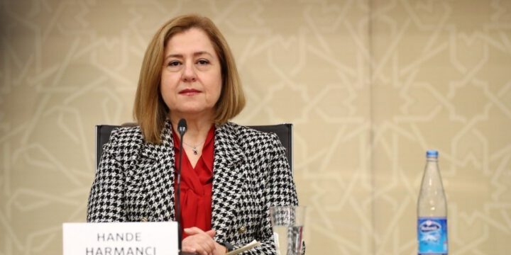 Hande Harmancı: Yoluxma halları çox yüksəkdir, amma ölüm saylarında artım yoxdur