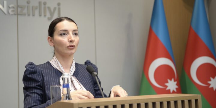 Leyla Abdullayeva: Bu günədək Ukraynadan 4000-ə yaxın azərbaycanlı sərhədi keçib