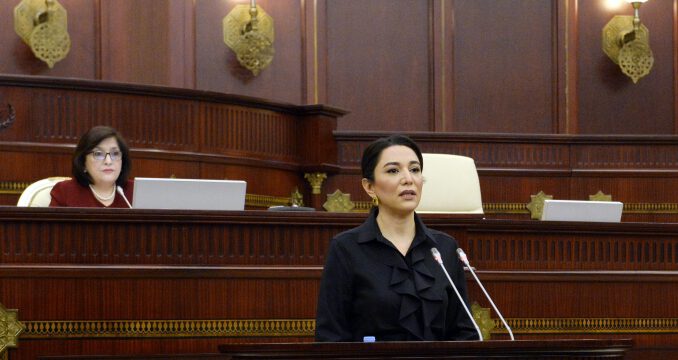 Ombudsman 2021-ci il üzrə məruzəsini Milli Məclisdə təqdim edib