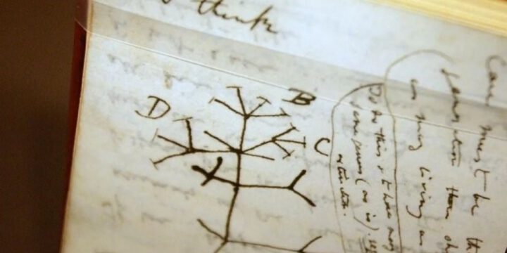 Darvinin itmiş bloknotları Böyük Britaniyanın kitabxanasına gizlincə verilib