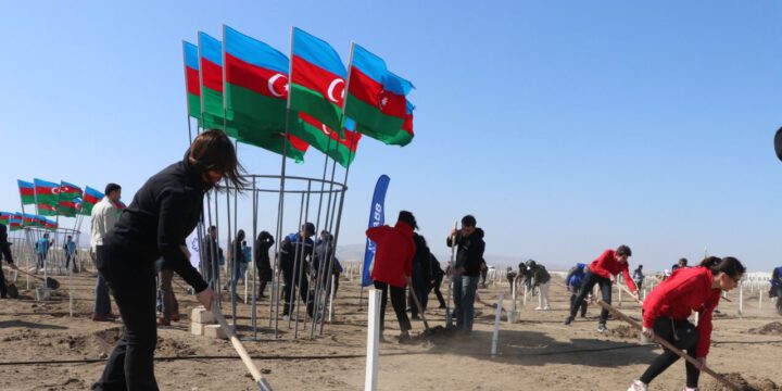 “Yaşıl Marafon 2022” ağacəkmə kampaniyası çərçivəsində növbəti aksiya keçirilib