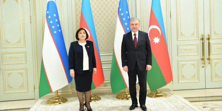 Sahibə Qafarova Özbəkistan Prezidenti ilə görüşüb