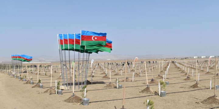 “Yaşıl Marafon 2022” ağacəkmə kampaniyasına start verilib