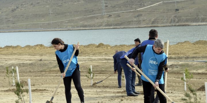 “Yaşıl Marafon 2022” ağacəkmə kampaniyası çərçivəsində növbəti aksiya keçirilib