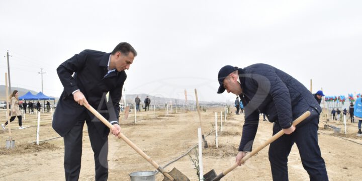 “Yaşıl Marafon 2022” ağacəkmə kampaniyası çərçivəsində növbəti aksiya keçirilib