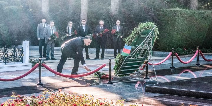 Tibb ictimaiyyətinin nümayəndələri ulu öndər Heydər Əliyevin və şəhid həkimlərimizin məzarlarını ziyarət ediblər