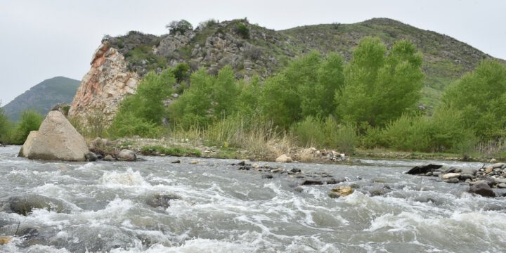 Həkəri çayına üç min qızılxallı forel balığı buraxılıb