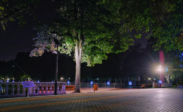 Azad edilən ərazilərdə küçə və yollar yaşıl texnologiyalarla işıqlandırılacaq