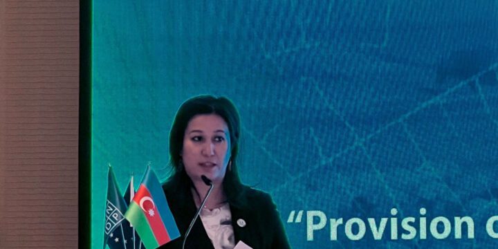 BMT rəsmisi: Qarabağda minaların təmizlənməsi prosesinin sürətlənməsi ümumi rifahın inkişafına xidmət edəcək