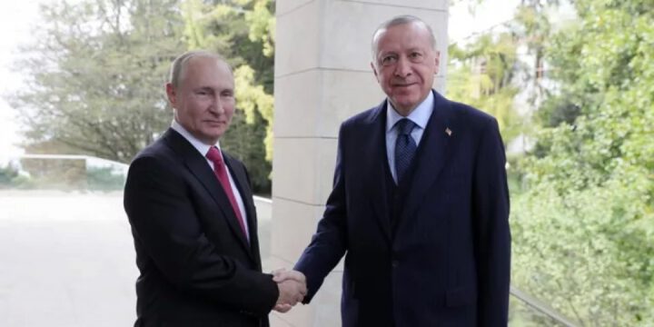 Rusiya və Türkiyə prezidentləri Soçidə regional problemləri müzakirə edəcəklər