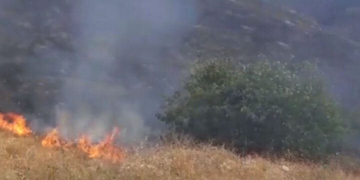 Suqovuşanda minalanmış ərazidə yanğın olub