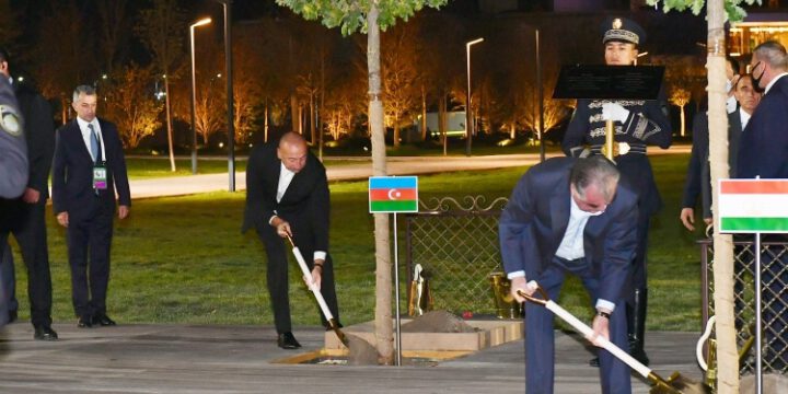 Şanxay Əməkdaşlıq Təşkilatına üzv ölkələrin Sammitində iştirak edən dövlət başçıları ağac əkiblər