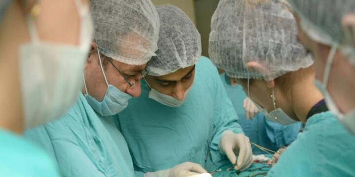 Donor orqanların götürülməsi, hazırlanması, saxlanması, daşınması və transplantasiyası Qaydası təsdiq edilib