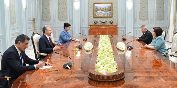 Milli Məclisin sədri Özbəkistan prezidenti ilə görüşüb