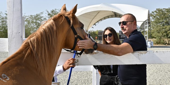 Ağdamda Atçılıq Nəsilartırma Mərkəzinin təməli qoyulub