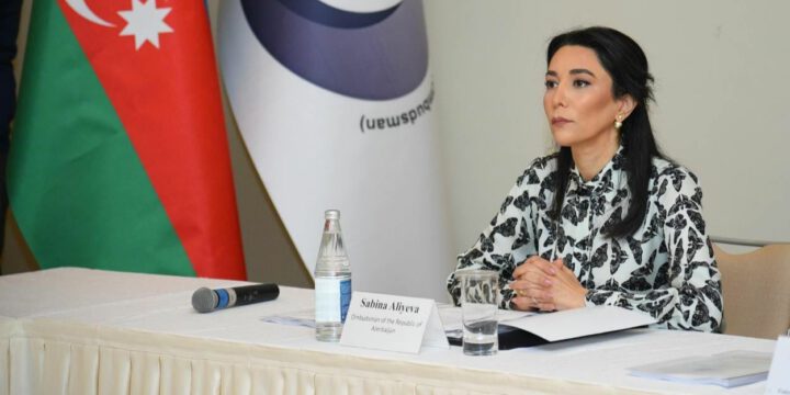 Səbinə Əliyeva: Heç bir təzyiqə məruz qalmadığından Ermənistan minalama prosesini davam etdirməkdədir