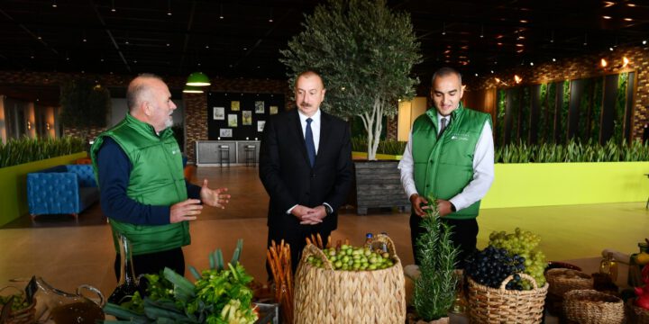 Prezident İlham Əliyev Zirə qəsəbəsində zeytun yağı və süfrəlik zeytun məhsullarının emalı zavodunun açılışında iştirak edib