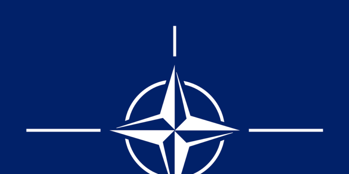 NATO: Azərbaycan Silahlı Qüvvələri peşəkarlıq və öz işinə sadiqlik nümayiş etdirir