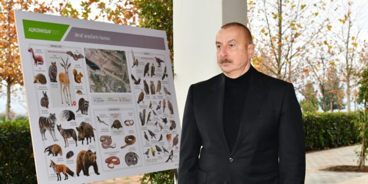 Prezident İlham Əliyev “Şəki-Oğuz” Aqroparkında yaradılan şəraitlə tanış olub