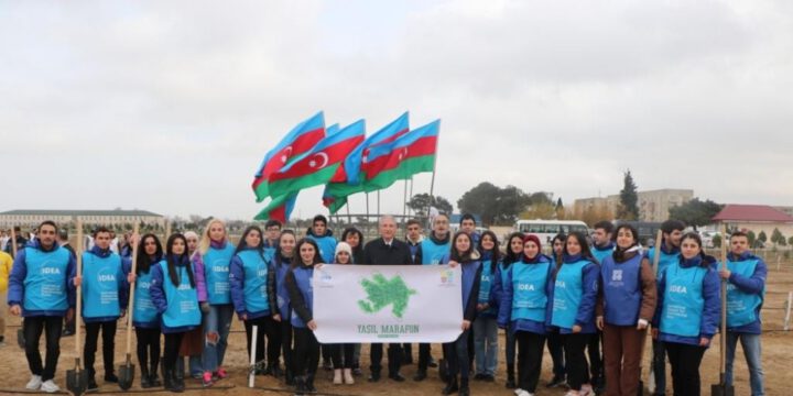 “Yaşıl Marafon” kampaniyası çərçivəsində kütləvi ağacəkmə aksiyaları keçirilib