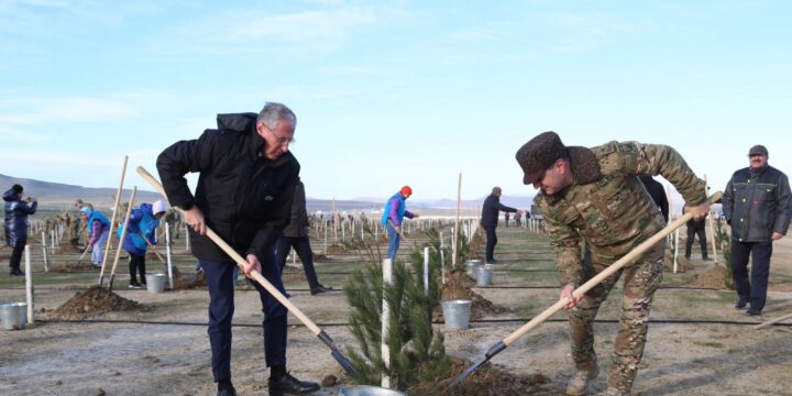 “Yaşıl Marafon” çərçivəsində hərbçilərin iştirakı ilə ağacəkmə aksiyası keçirilib 