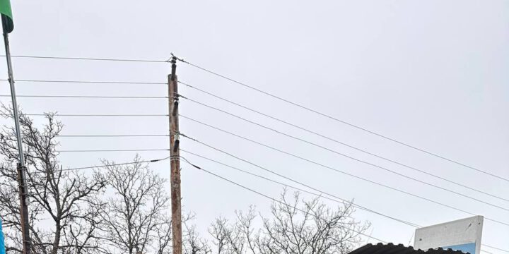 Doqquzuncu gün: Laçın-Xankəndi yolunda fləşmob