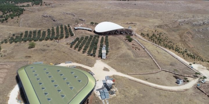 Gobeklitepe ancient site in Türkiye breaks visitor record by hosting 850,000 people last year