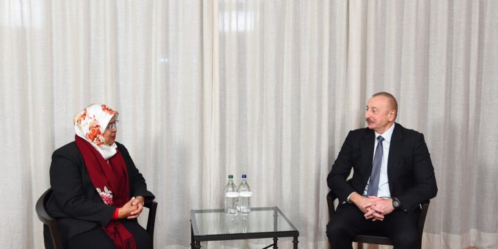 President Ilham Aliyev met with Executive Director of UN Human Settlements Programme in Davos