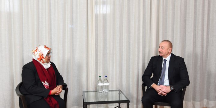 Prezident İlham Əliyev Davosda BMT-nin Məskunlaşma Proqramının icraçı direktoru ilə görüşüb