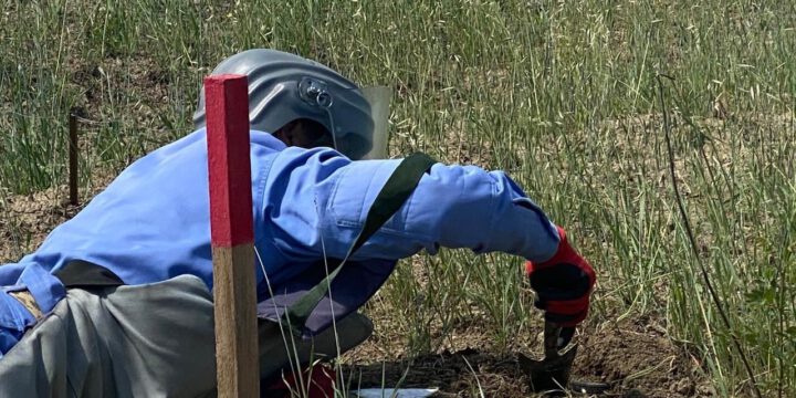 Ötən il işğaldan azad edilmiş ərazilərdə tapılan minaların sayı açıqlanıb