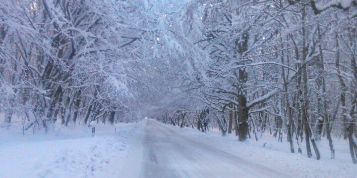 Sabah çovğun ehtimalı var – Xəbərdarlıq
