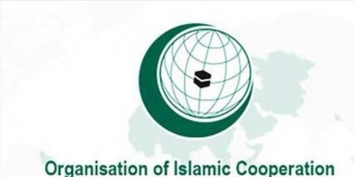 OIC condemns illegal exploitation of natural resources in territory of Azerbaijan