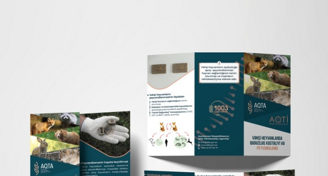 Vəhşi heyvanlarda quduzluq xəstəliyi və peyvəndləmə ilə bağlı maarifləndirici materiallar hazırlanıb
