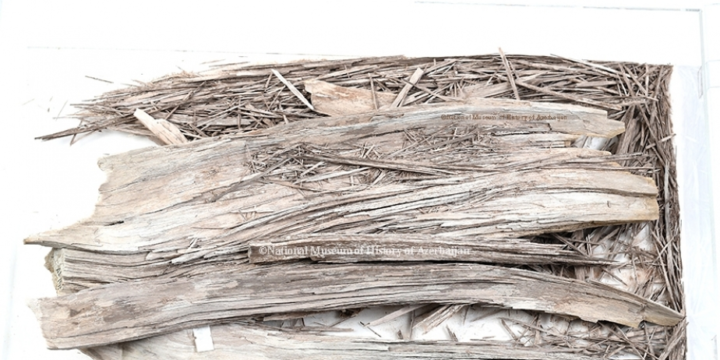 Yaşı ən azı 25 milyon il olan daşlaşmış ağac qalığı