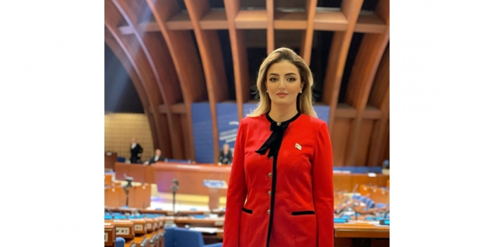 Azərbaycanlı deputat AŞPA-nın Gender bərabərliyi üzrə Alt Komitəsinin sədr müavini seçilib