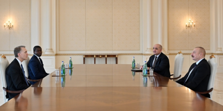 President Ilham Aliyev received Chief Executive Officer of Brookfield Asset Management